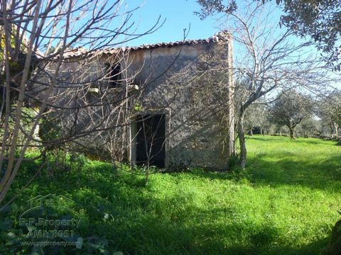 Ruin with land in Cabeca Redonda - Central Portugal This property is located in the village of Cabeca Redonda, 6 km away from the village of Ansiao, where you will find roadways throughout the country, pharmacies, banks, restaurants, schools, everyth...