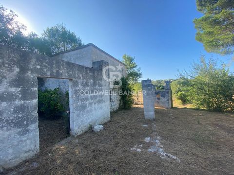 PUGLIA. Ostuni FARMHOUSE WITH CITRUS ORCHARD Coldwell Banker offers for sale, exclusively, a farmhouse to be restored in Ostuni. The farmhouse, with barrel vaults, has an adjacent orange grove that can be used for any expansion. The property is compl...
