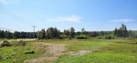 Lot 5 030 343 for sale forming part of the property of 1096 Douglas. Area of 3288 square meters. - If a soil test is required, it will be at the buyer's expense. - The buyer is responsible for verifying with the City of Gaspé the rights and restricti...