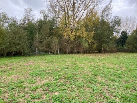Vert Immo offers you exclusively a building plot not serviced and bounded. Free of manufacturer! Expo West. Located in the heart of the town of Rieulay 20 minutes from Orchies. The electricity network, gas and all to the sewer go to street. Land with...