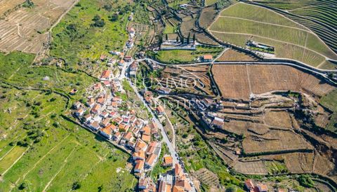 Located in the village of Valdigem , in Lamego, in the heart and cradle of the demarcated Douro region , it is a place steeped in the history of the beginnings of Portugal's nationality and the construction of the wine region. The property is located...