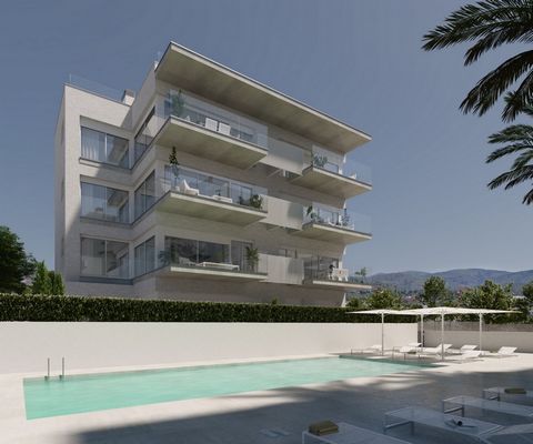 Sofía es un complejo de 31 viviendas repartidas en 4 bloques de tres plantas y bajos. Viviendas unifamiliares que disponen de 3 dormitorios dobles, dos baños y amplias terrazas para disfrutar el clima privilegiado del mediterráneo. Los bajos cuentan ...