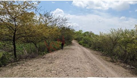 34 Manzanas available and ready to develop. Perfect for cattle or crop farming. The area is quiet and peaceful with year-round access on hard-packed roads. Perfect location to develop a destination entertainment/ Adventure zone for dirt bike/ATV trai...