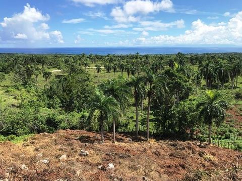Cabrera ( Maria Trinidad Sanchez, DO ) Located close to Cabrera in the community of Los Valles this 2700 meter (29,052 sq/feet) lot has some excellent qualities attached to it. First off the views are pretty spectacular wouldn’t you agree. The proper...