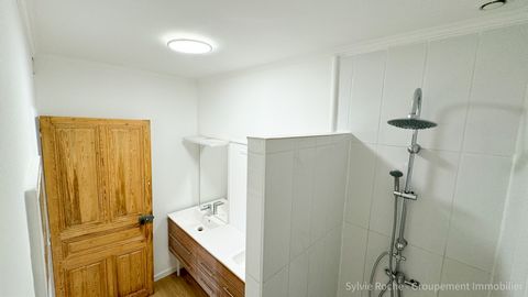 photo no. 7