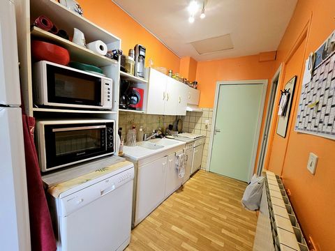 photo no. 12