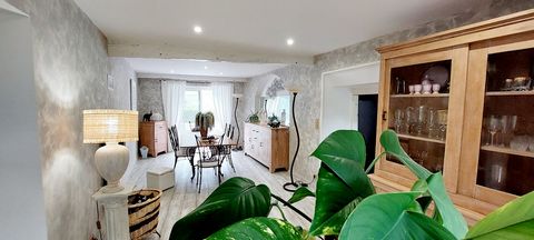 photo no. 12