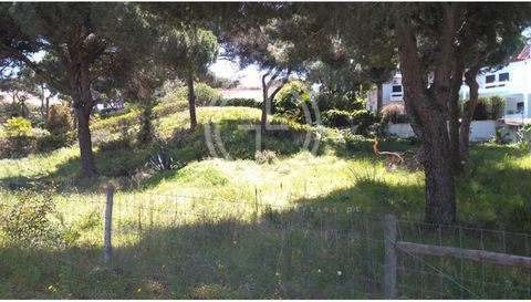 Building plot of 1,046m2 for construction of a single-family detached villa on 1 floor with the possibility of construction of basement or attic. 20% allowed/209sqm + 21 sqm tolerance = 230sqm Prestigious area of Vilamoura : #ref:GA-7018