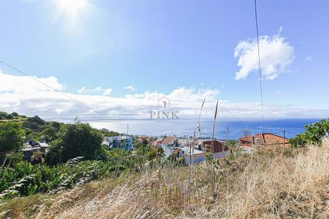 Terrain fantastique de 428 m2, situé dans la paroisse de Santa Cruz, avec faisabilité pour la construction dune maison, situé à côté de la route, quartier calme, excellente vue, à proximité du centre de la ville de Santa Cruz. À proximité, vous trouv...