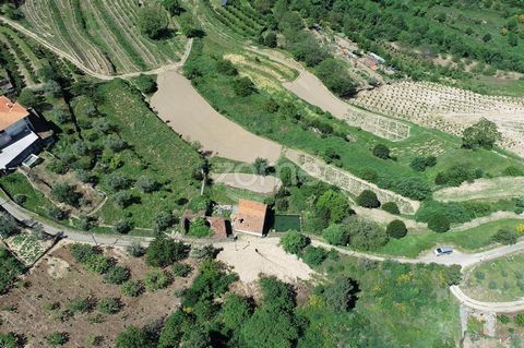 ID de la propriété: ZMPT545304 - Ferme située dans le centre de Lamego, avec une belle exposition au soleil, ayant à l’ouest la fantastique rivière Balsemão. La Quinta se compose d’une maison, destinée au logement et au tourisme, composée de deux éta...