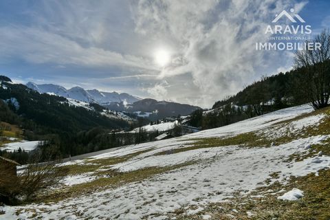 photo no. 2
