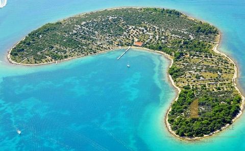 Una proprietà unica sull'isola, all'ingresso del Parco Nazionale delle Kornati, a soli 10 minuti di barca da Murter! Bellissimo appezzamento di terreno con una superficie di 31.500 m2, composto da numerose unità catastali combinate in un unico appezz...