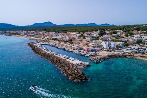 Ontkoppel tijdens uw vakantie in dit ruime en goed onderhouden appartement met een prachtig uitzicht op zee en gelegen in een uitzonderlijk gebied van Son Serra de Marina. Het uitgestrekte terras loopt 180 graden rond het pand en biedt voldoende ruim...