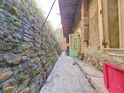 photo no. 3