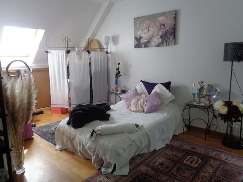 photo no. 6