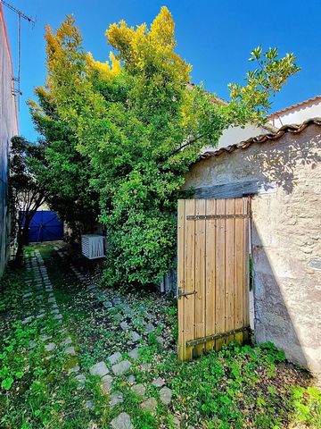 photo no. 13