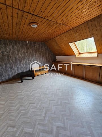 photo no. 11