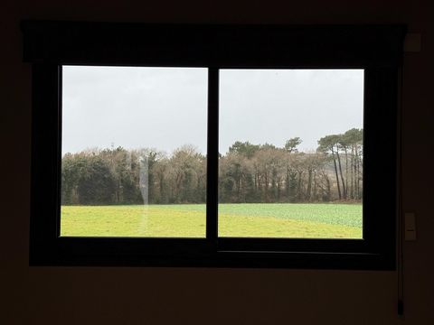photo no. 10