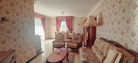 photo no. 5