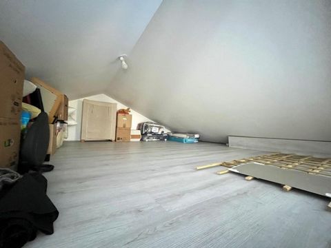 photo no. 8