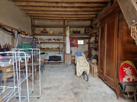 photo no. 11