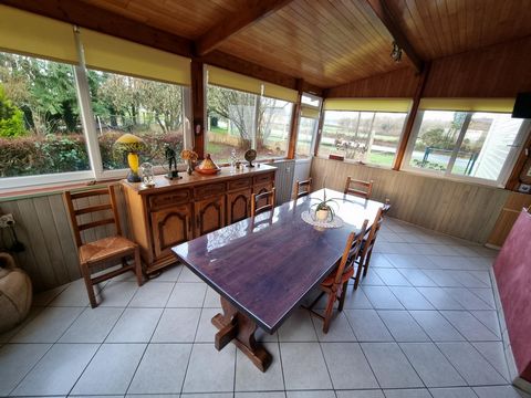 photo no. 13