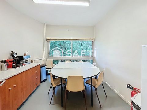 photo no. 6