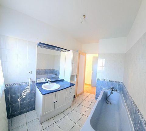 photo no. 7