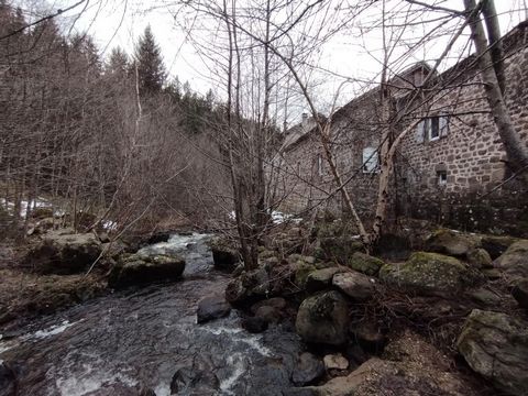 photo no. 13