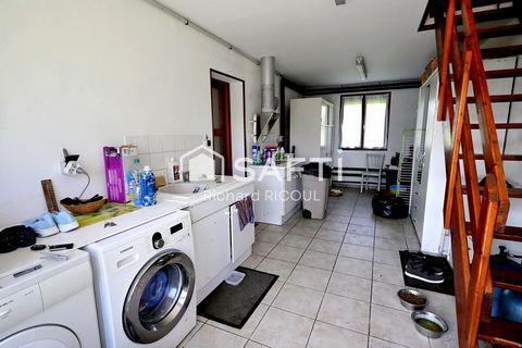 photo no. 9