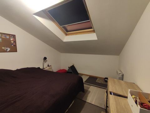 photo no. 19