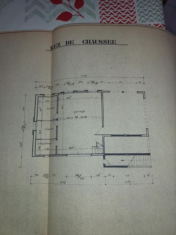 photo no. 4