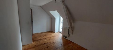 photo no. 6