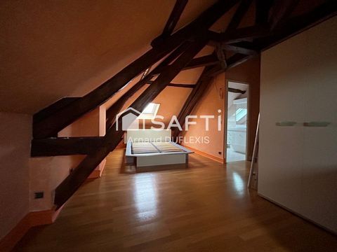 photo no. 11