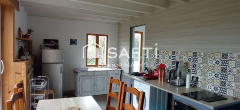 photo no. 13