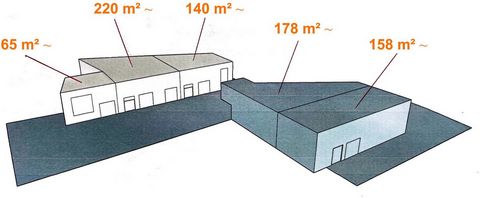 photo no. 2