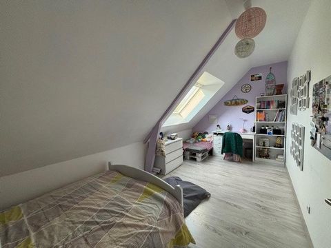 photo no. 12