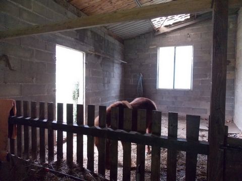 photo no. 11