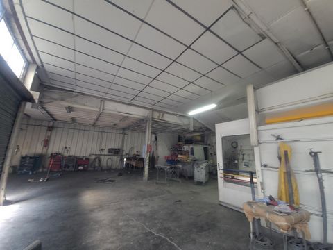 photo no. 3