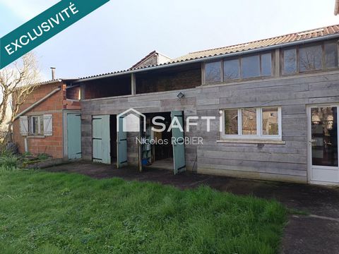 photo no. 11