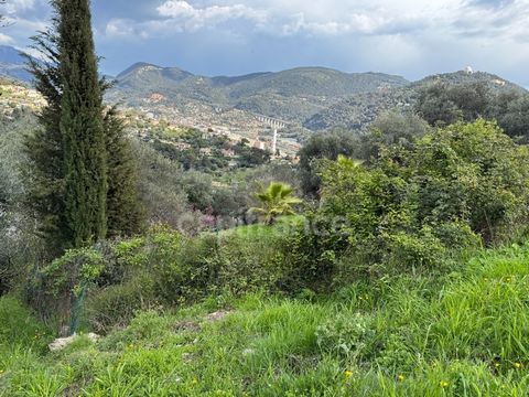 Terrain constructible Nice, secteur Clinique Saint-George Exclusivité Capifrance