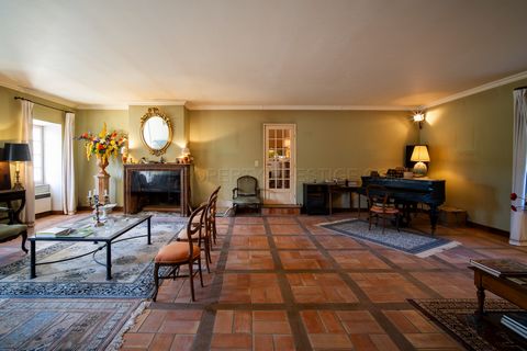 photo no. 4