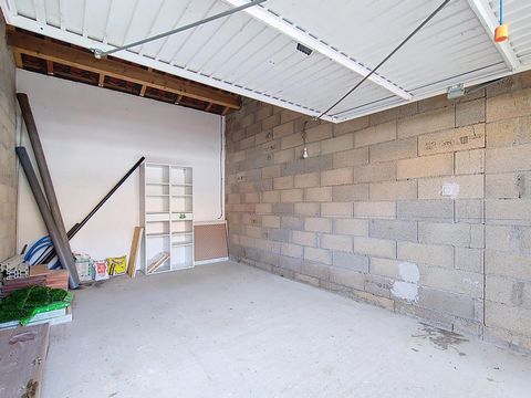 photo no. 8