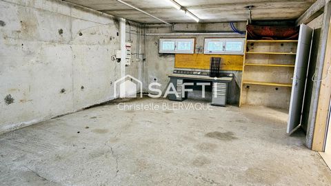 photo no. 11
