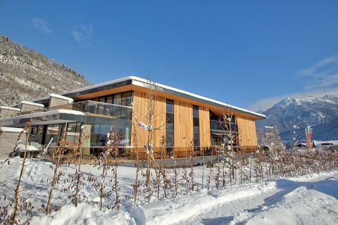 This modern apartment is in Neukirchen am Großvenediger near the ski area. The property has 3 bedrooms and is perfect for 8 people. The apartment has a sauna for you to unwind after a long tiring day. The local grocery store is only 300 m away, if yo...