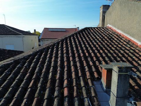 photo no. 6