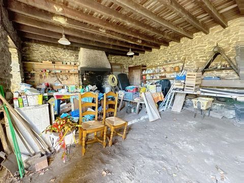photo no. 6