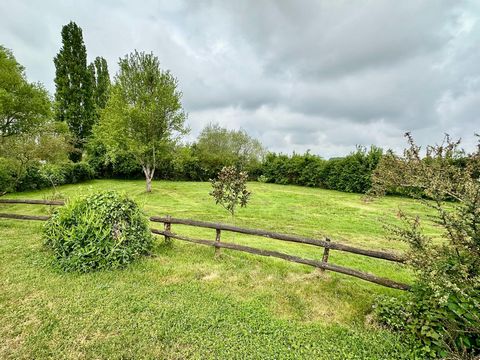 photo no. 10