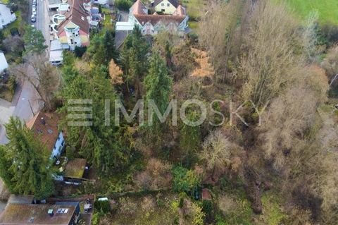 großes Baugrundstück in Top Lage in Erlangen Zum Verkauf steht ein exklusives Baugrundstück in einer der begehrtesten Lagen Erlangens, direkt an der idyllischen Rednitzwiese. Dieses einzigartige Areal verbindet den Charme einer naturnahen Umgebung mi...