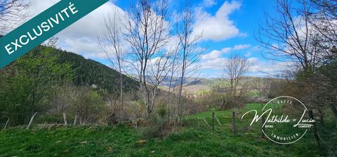 photo no. 11